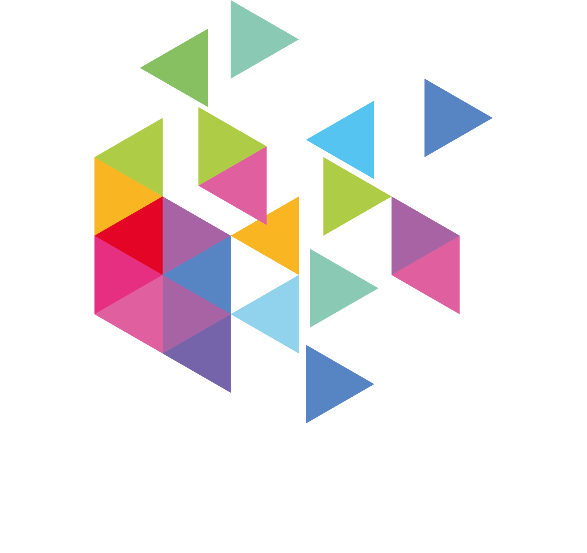 BroadVision